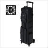 Action – 12×24 – Dealer Hard Case | Golden Break Billiards